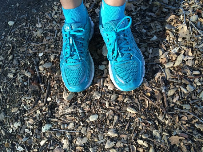 Time to give them a workout!