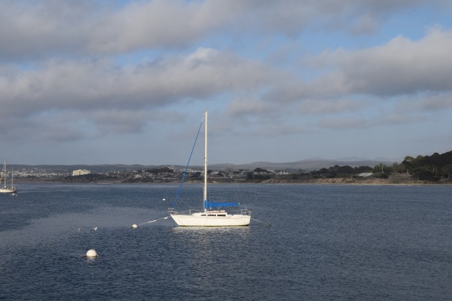 A great day for kayaking